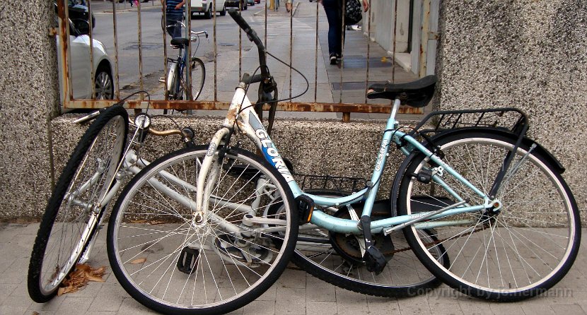 Biciclette a Udine - 020